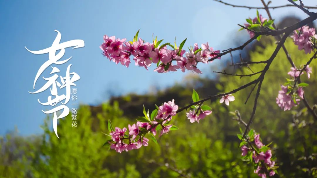 万种风情唯美句子（赞美女人妩媚迷人的句子）