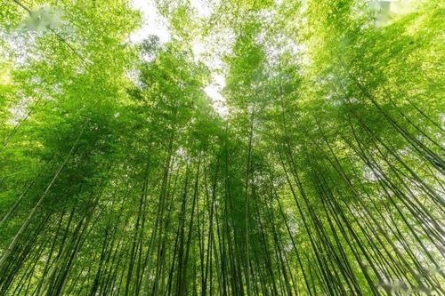 鄂州南楼书事古诗（鄂州南楼书事全文跟解析）