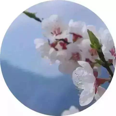 关于雨的诗句唯美（雨的句子短句唯美）