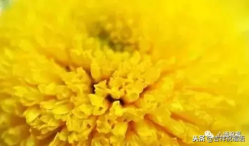 想念天堂父母短句（想念天堂的亲人的句子）