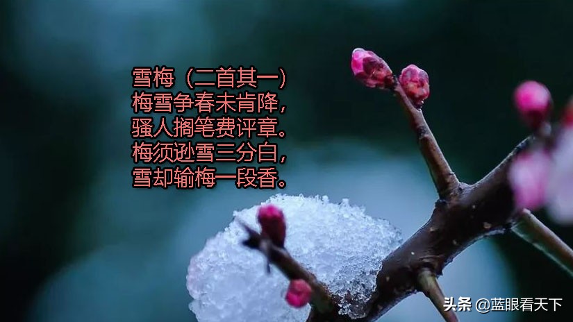 描写雪景的诗句有哪些（带有雪景的古诗词）
