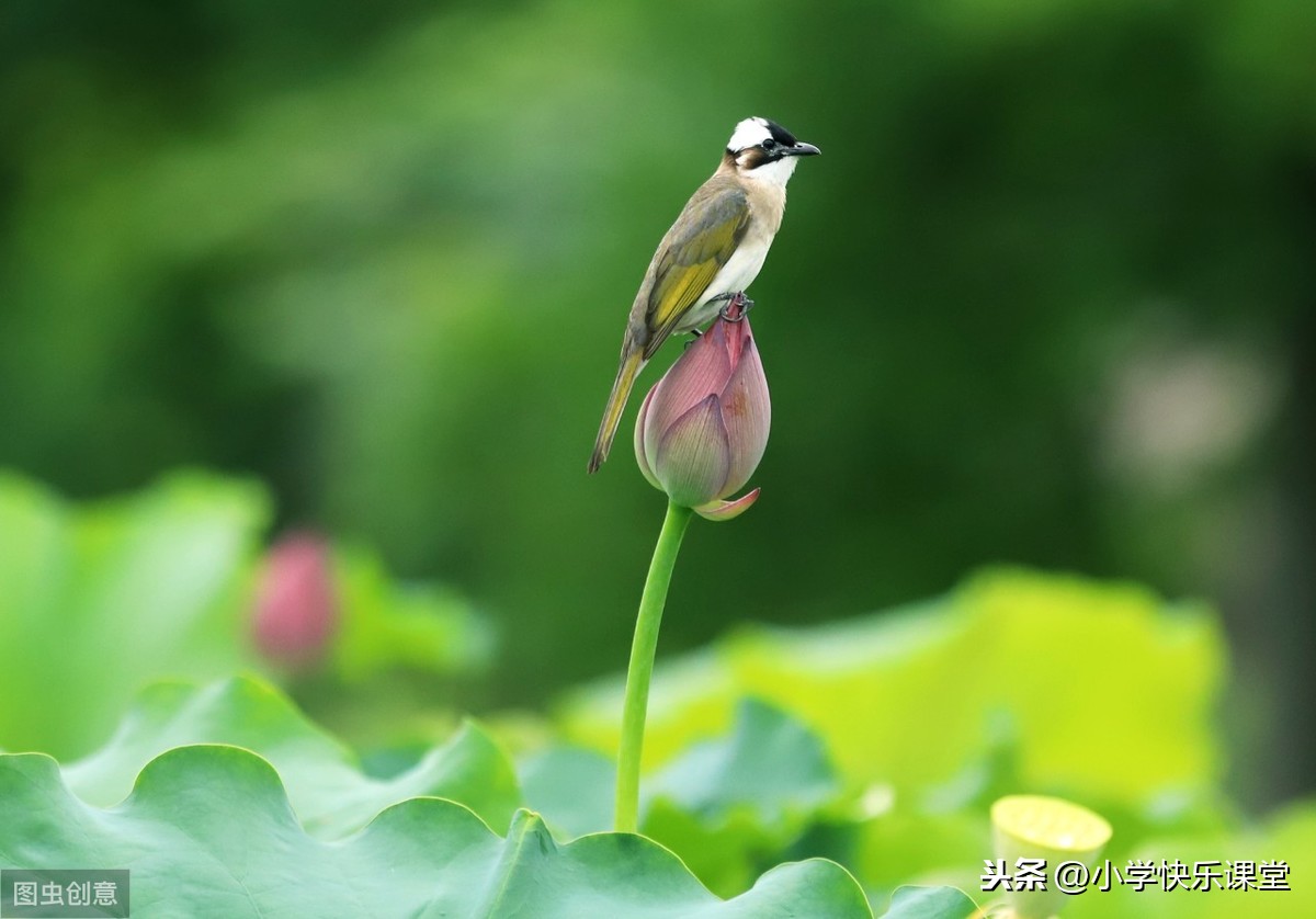 最令我感动的一件事作文（9篇优秀作文范文）
