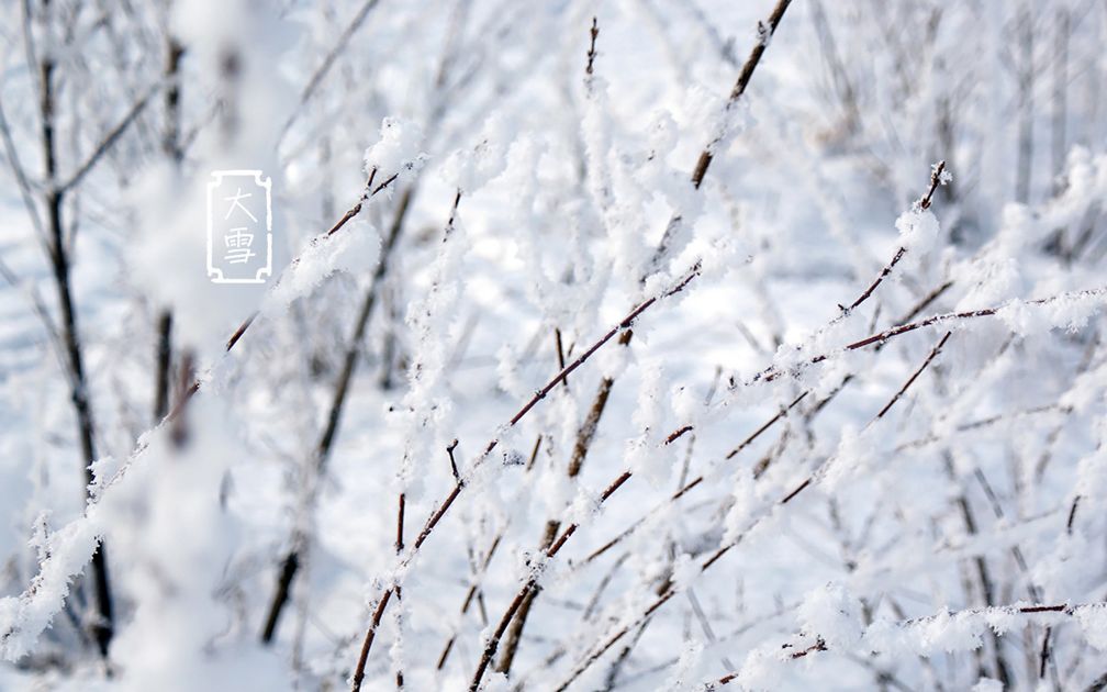 大雪节气诗词鉴赏（二十四节气大雪古诗）