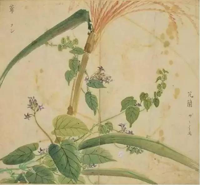 古诗词300首简短（欣赏古诗大全）