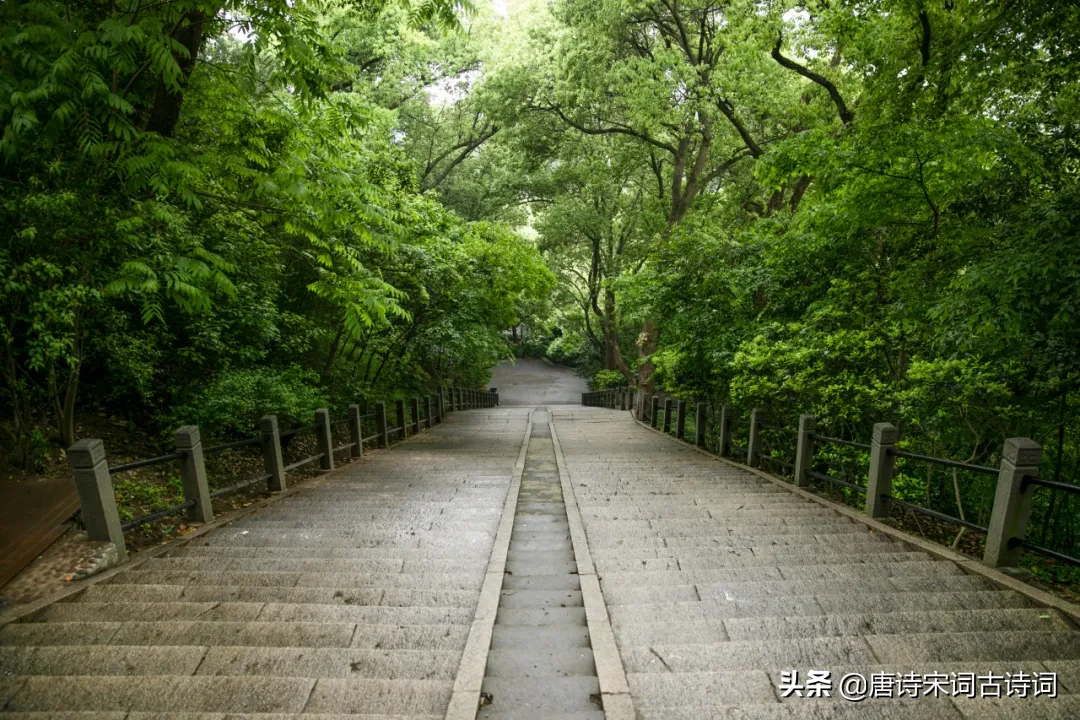 草色遥看近却无的全诗（关于草的诗句古诗）