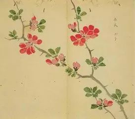 古诗词300首简短（欣赏古诗大全）