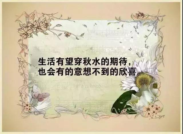 感慨的句子说说心情简短（打动人心的情感语录）