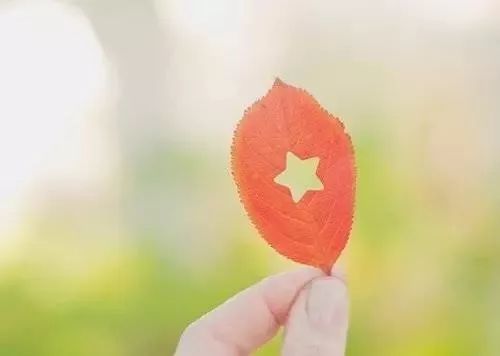 热爱生命的诗歌朗诵（关于热爱生命的小诗)