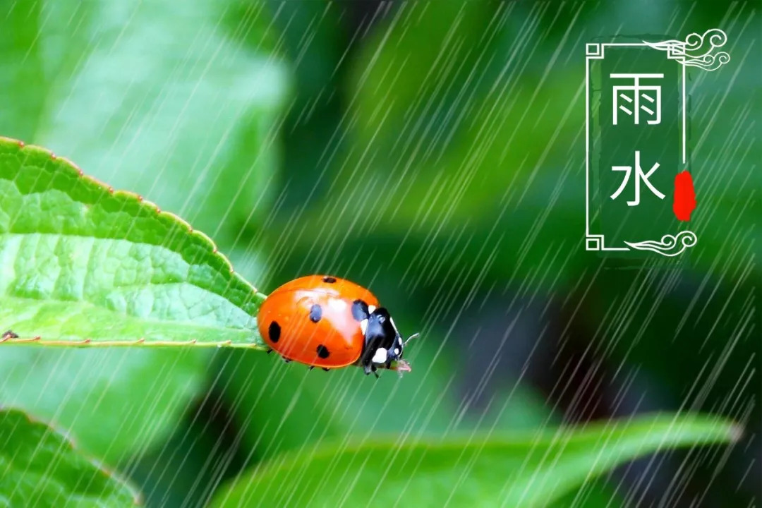 二十四节气古诗大全（描写二十四节气的古诗）