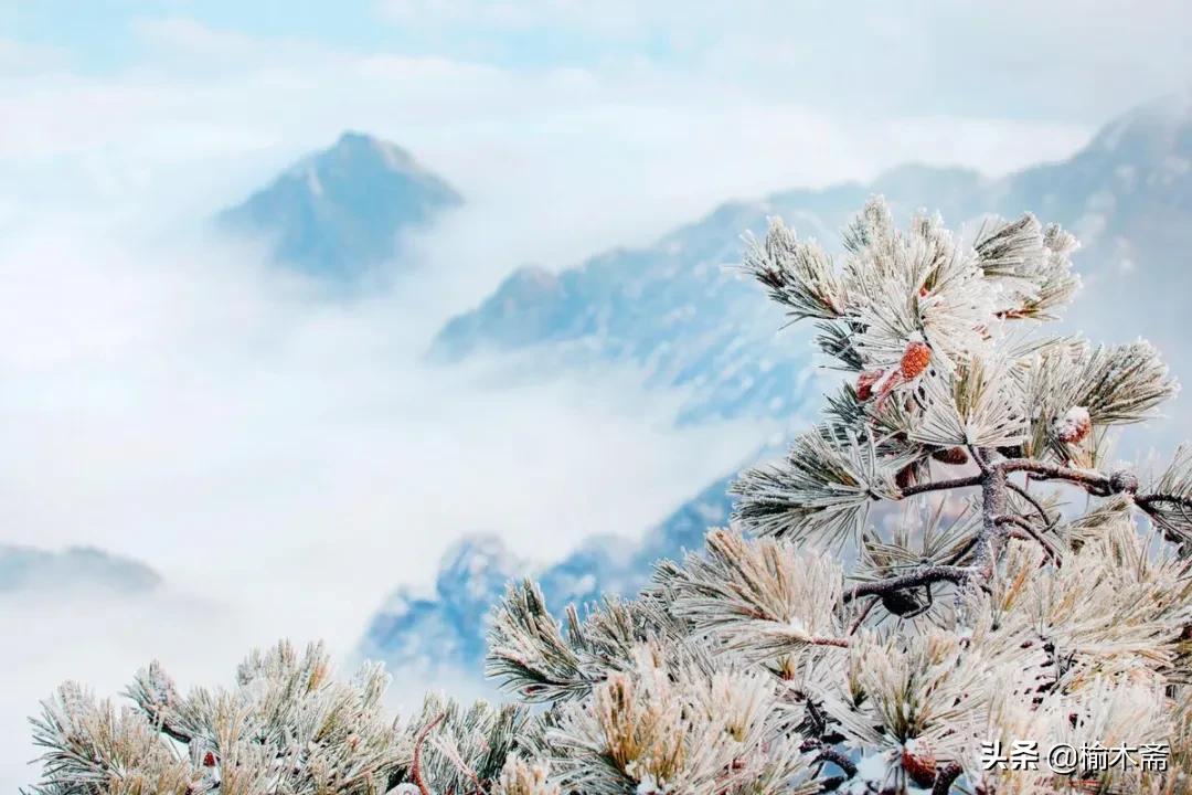 古诗雪罗隐的意思（古诗雪原文及解释）