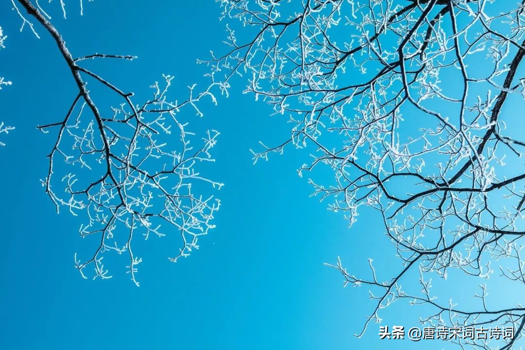 咏雪的名句有哪些（有关咏雪的诗句古诗）
