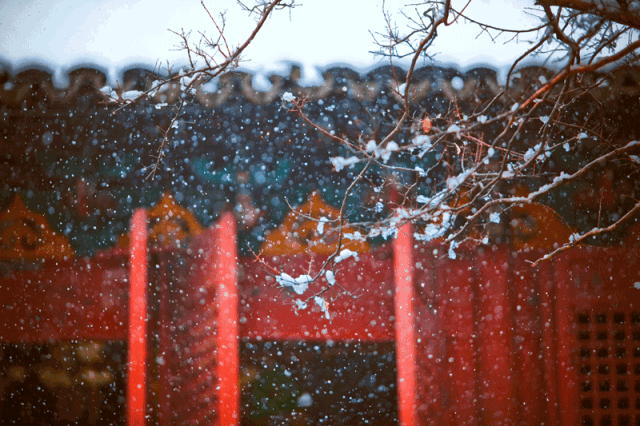写雪的古诗句有哪些（描写雪的著名的唐诗）
