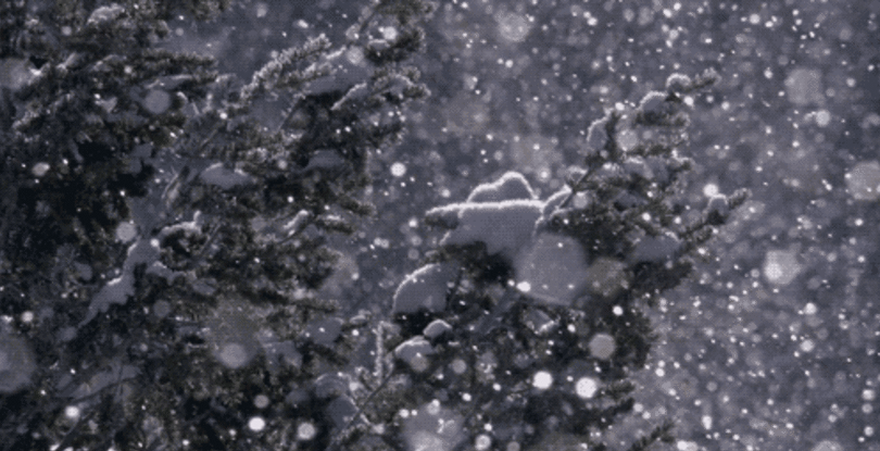 描写雪的古诗名句（关于雪的古诗词）