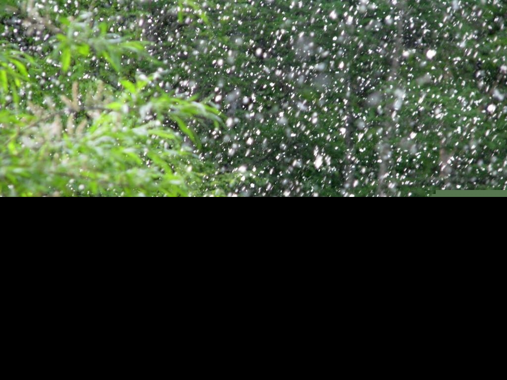 苏轼情诗绝句（古代最美的情诗绝句）