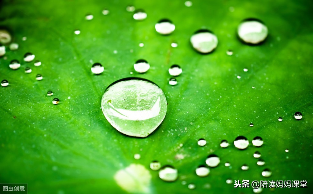 形容景色优美的句子(赞美大自然美景的心情说说）