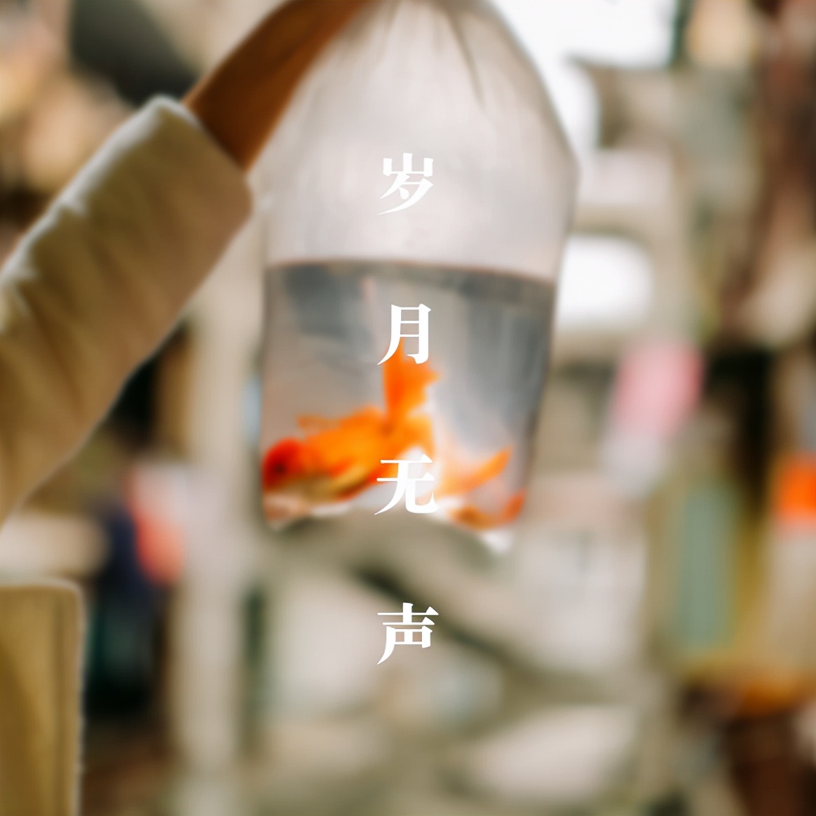 时光只解催人老（时光匆匆的唯美句子）