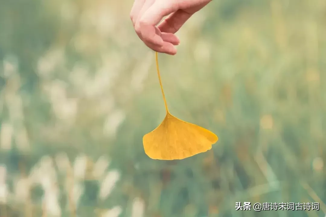 形容向往的生活句子（阳光心态正能量的诗句）