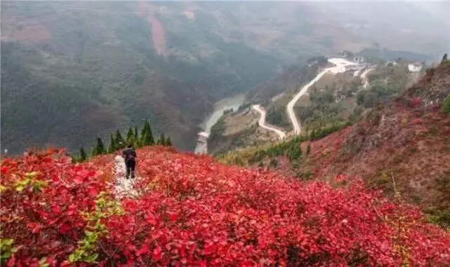 巫山红叶的诗句（形容巫山的美丽句子）