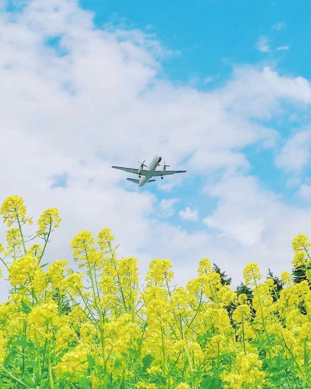 描写春天的阳光的句子（春暖花开的心情说说）