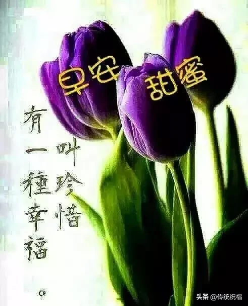 即暖心又撩人的早安句子（最能打动人心的早安问候语）
