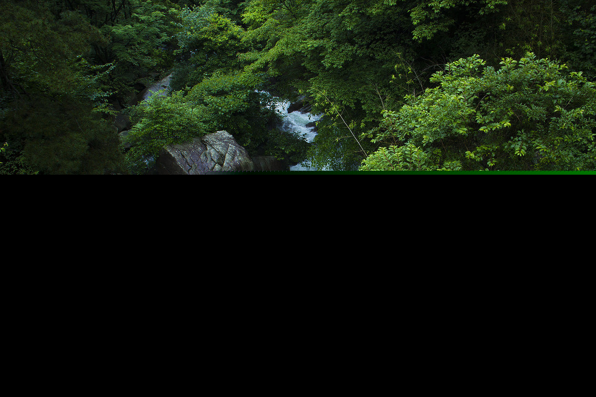 雨过山村翻译及赏析（雨过山村古诗赏析题）