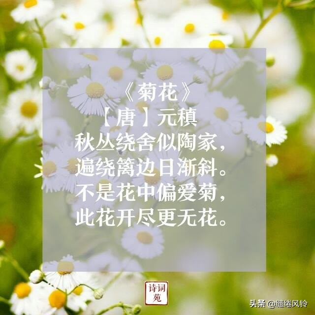 托物言志的诗有哪些（有关托物言志的10首名诗）