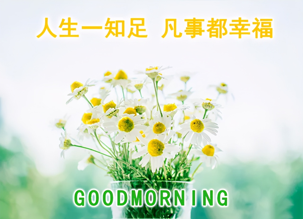 夏天早上问好的句子（唯美励志的早安语录）
