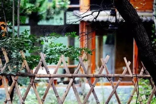 莫言散文静静的想念（关于思念的散文随笔）