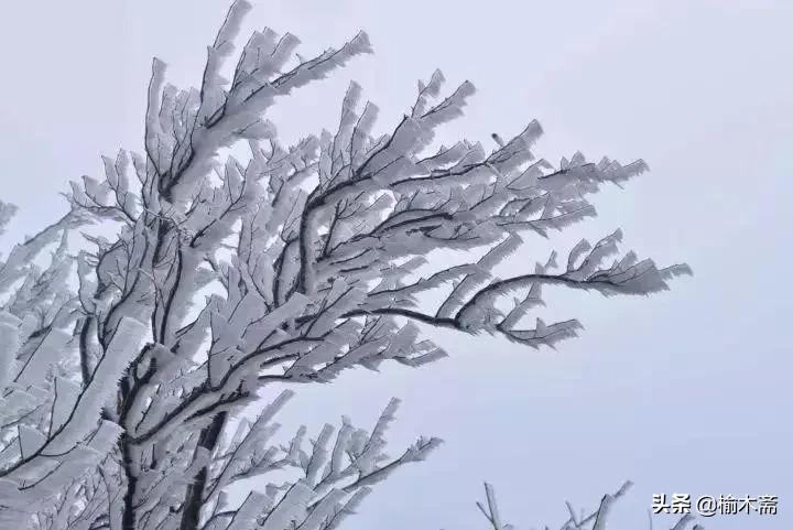 古诗雪罗隐的意思（古诗雪原文及解释）