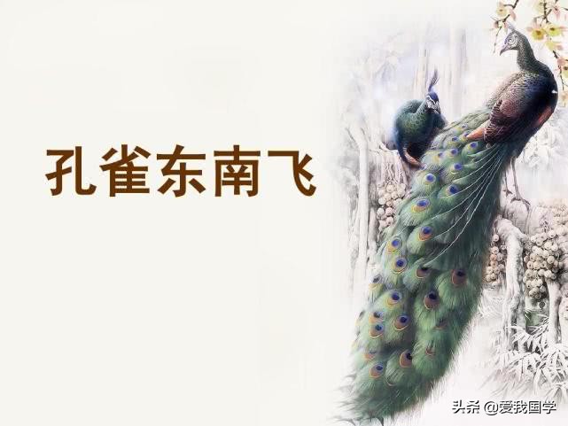 孔雀东南飞原文翻译及赏析（全文内容及解释道理）
