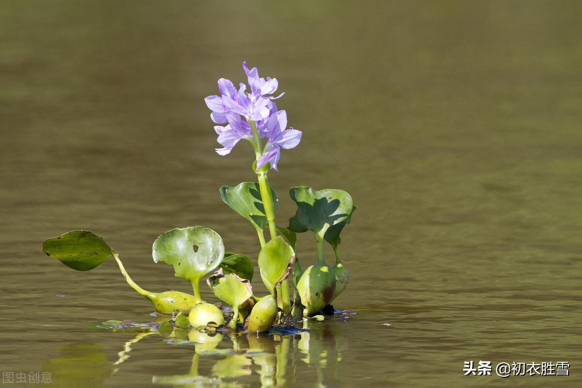 谷雨节气古诗大全（关于二十四节气谷雨的诗句 ）