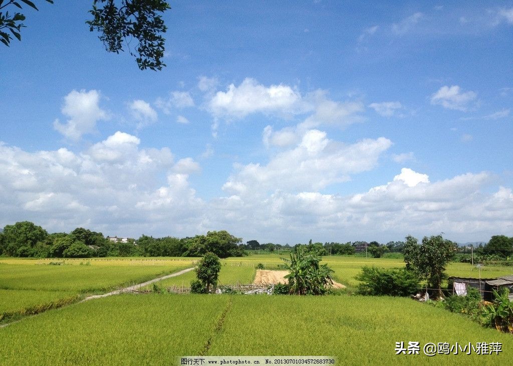 祖国啊我亲爱的祖国舒婷原文（舒婷的三首最著名的诗）