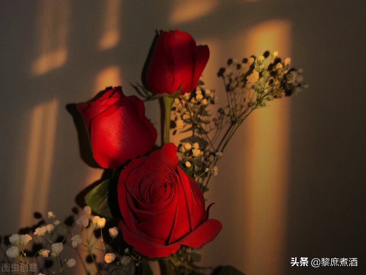 散文爱情是什么（对爱情美好憧憬的散文）