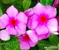 形容邻居和睦的句子（形容浓浓邻里情句子）