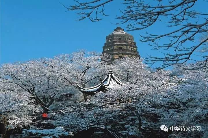 游虎丘小记文言文翻译（关于游虎丘小记全文解析）