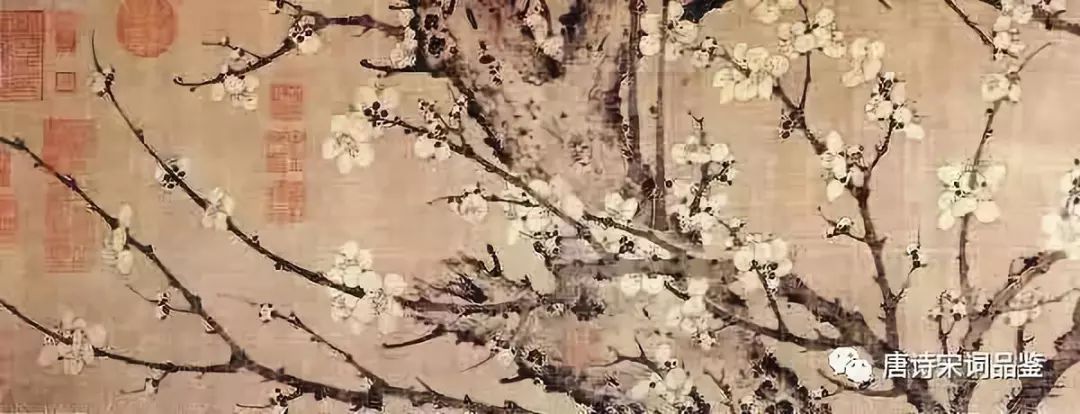 白梅古诗的意思是什么（白梅赏析及全文注释）