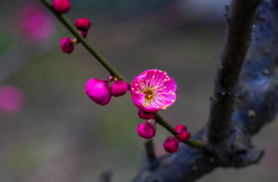描写风景的优美句子（朋友圈风景文案）