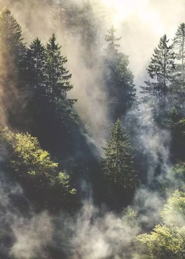 王维的诗句还有哪些（王维的经典古诗大全）