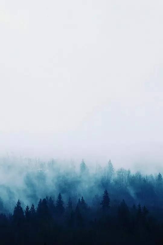 王维的诗句还有哪些（王维的经典古诗大全）