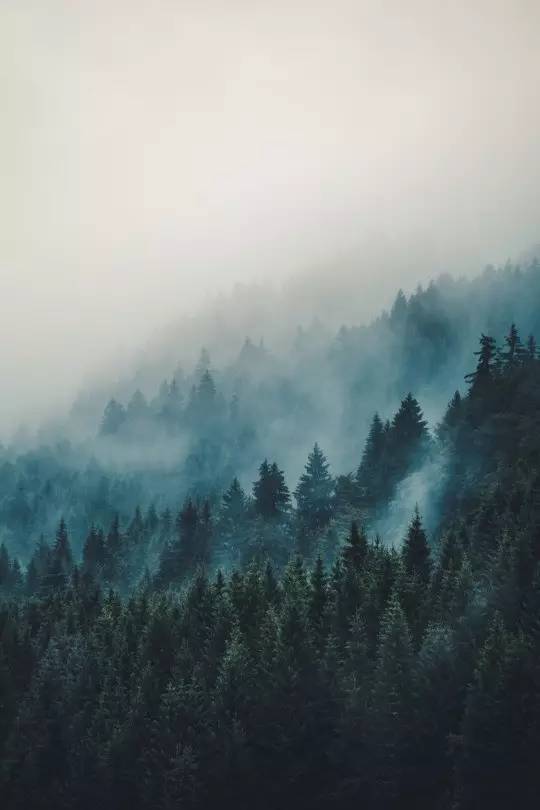 王维的诗句还有哪些（王维的经典古诗大全）