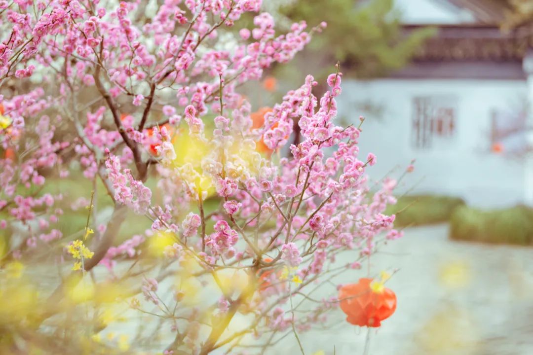 春天的诗句唯美简短（赞美春天的优美短句）