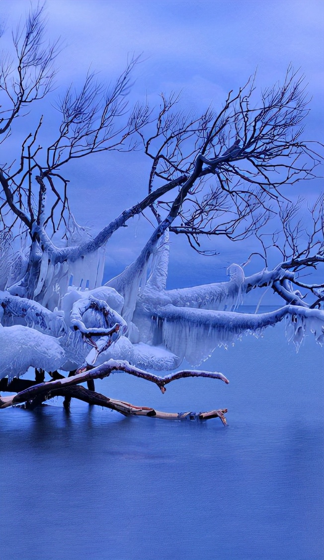 赞美雪的诗句古诗大全（下雪的正能量句子）