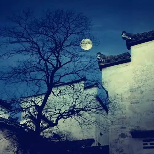 中秋佳节的诗词名句（关于中秋节的精美佳句）