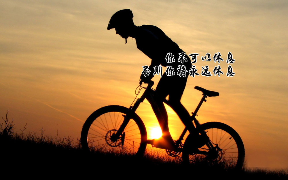 美文300字摘抄大全加感悟（适合高中生摘抄的美文）