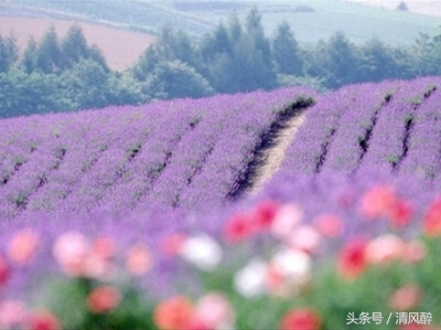 抖音感恩父母的经典语录（送给父母的15条感谢说说）