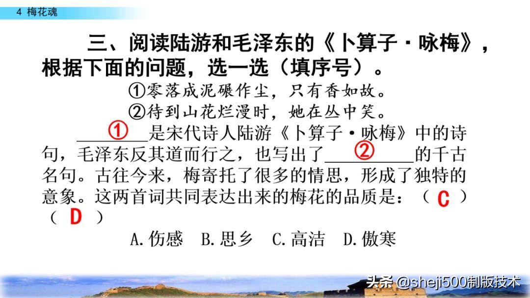 课文梅花魂指的是什么（梅花魂全文知识）
