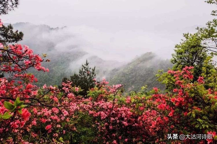 缅怀先烈诗词有哪些（表达对烈士的敬意的诗句）