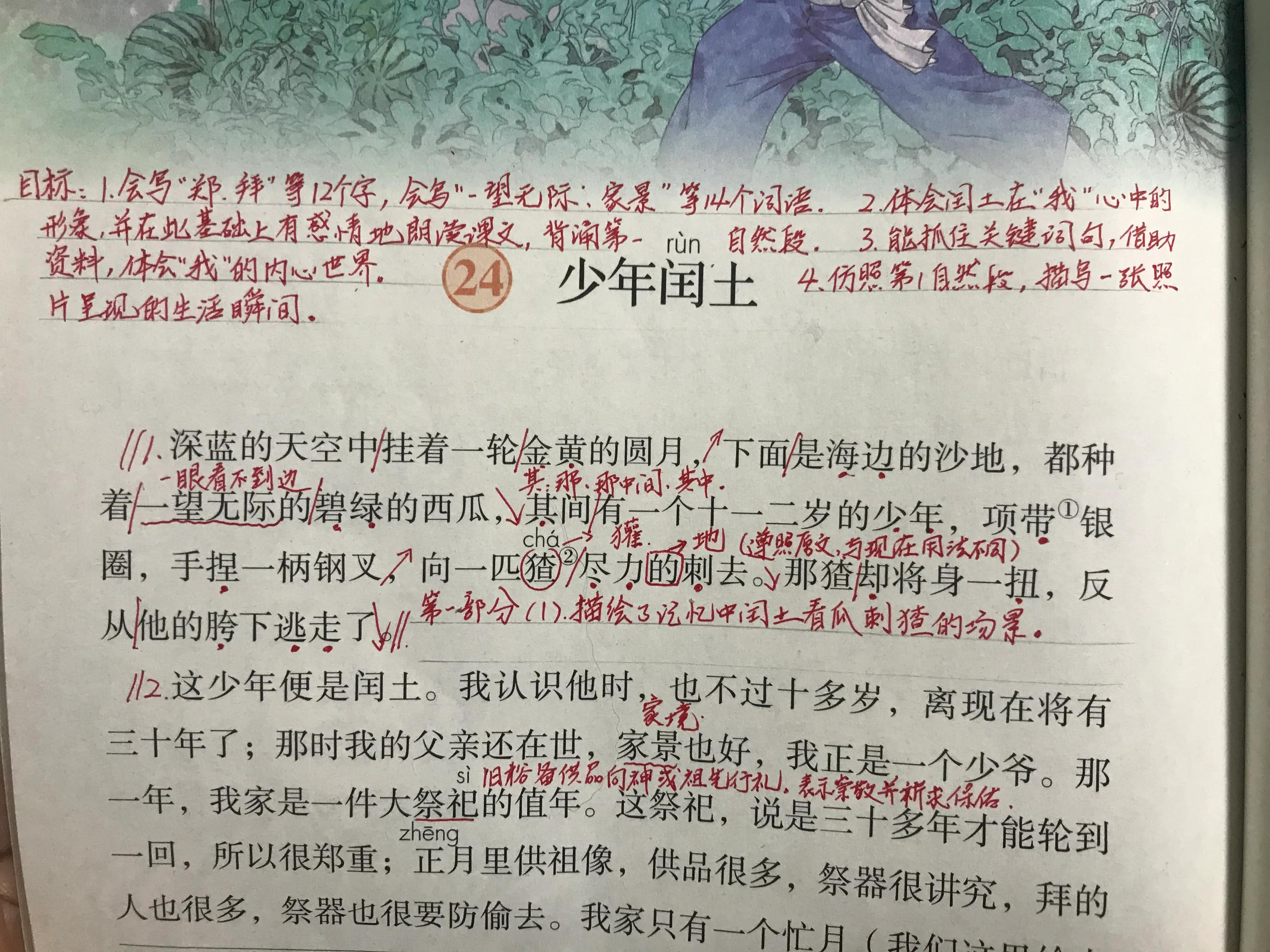 少年闰土的主要内容和段落大意（少年闰土全文解析）