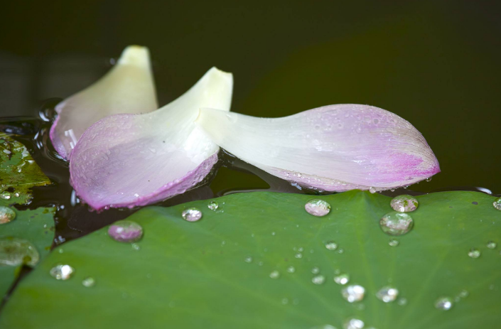 形容雨过天晴的诗句和心情（形容心情好的优美诗词 ）