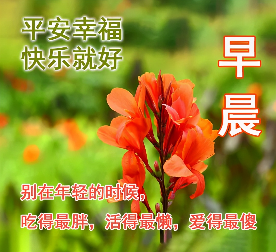 夏天早上问好的句子（唯美励志的早安语录）